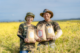 新米‼　R5年産　ふゆみずたんぼ米ササニシキ白米10kg