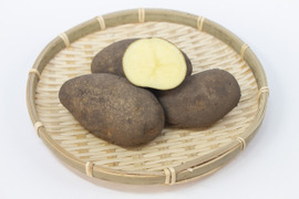 フライドポテトにぴったり！優しいお芋の風味とホクホク＆ねっとり感・ホッカイコガネ（合計5キロ）