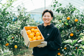 【福袋】大人気2品種　段畑セット「みかん2.6キロ」＋「まどんな600g」