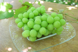 【食べる喜び・贈る喜びを感じる】シャインマスカット2㎏　4～5房