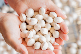 2025年 茨城県産  銀杏：久寿　銀杏  500g