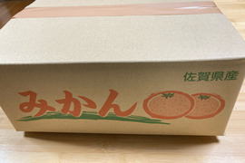 家庭用大容量みかん！無選別10ｋｇ