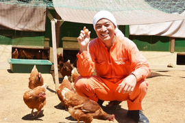 人に自然にやさしいたまご「えぼし姫」10個入り