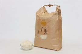 【令和6年新米】コシヒカリ 5kg（精米）