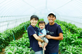 【初回限定BOX】使いやすいお野菜セット※おススメレシピ付き‼