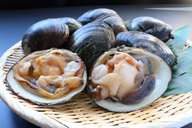 【超特大】黒ホッキ貝/北寄貝/北海道長万部/旨味と甘み濃厚/超特大/450-500g【5個】