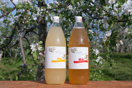 安曇野産 100％りんごジュース1000ml 2本セット