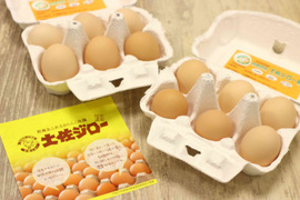 【大寒卵】★平飼いで育てた有精卵12個入り★
小振りながらも濃厚な土佐ジロー卵 　仁淀ブルーの町いの町からお届け