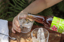 暑い夏を乗り切ろう！クエン酸たっぷり 梅シロップ  4倍希釈時25%うめ果汁入り飲料 （550ml×1本）栽培期間中農薬不使用