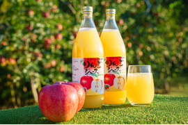 【緊急SOS！賞味期限間近のため25%OFF】完熟ストレートりんごジュース 1000ml × 6本