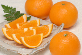 清見オレンジ家庭用5kg