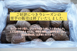 寒冷地専用・クール便発送【農薬・化学肥料不使用】ねっとり里芋（土垂）大サイズ　5kg