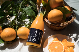【夏ギフト】無添加ストレート！濃厚清見オレンジジュース　1000ml (1リットル)　2本セット
