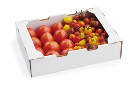 お楽しみ2倍！ひばりトマトとミニトマトのセット２キロ