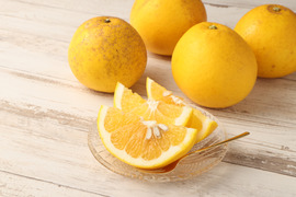 自然栽培　ジューシーオレンジ約5kg（10玉前後）🍊　別名　和製グレープフルーツ　爽やかな風味