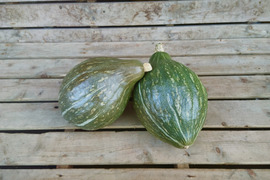 ★数量限定！おまけ付き★マロンのような甘味と滑らかな舌触り★大きめ熟成 ロロンかぼちゃ(2玉)★[化学農薬・化学肥料不使用]