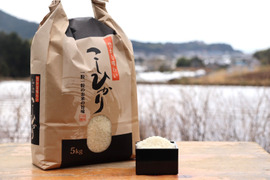 【令和7年度産　山の水で育った】高知県香南市産コシヒカリ　精米5Kg×2袋（10Kg）