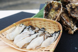 オホーツクサロマ湖産　殻付き牡蠣　厳選３ｋｇ（2年物　加熱用）