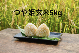 【令和7年】特別栽培米つや姫　玄米5㎏