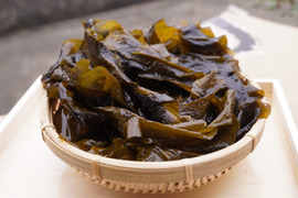 採れたて新鮮！！天然茎付き生わかめ1kg