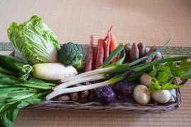 南阿蘇の冬の野菜セット【8品前後】農薬等不使用栽培