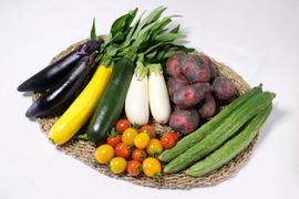 皮ごと安心!能登の夏がぎゅっと詰まった野菜セット【5〜7種類】