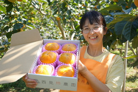 サクサク食感、激甘！「太秋柿」(ご家庭用・3kg)