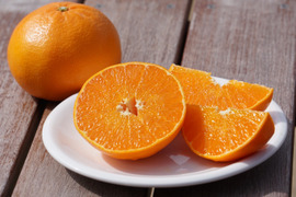 柑橘の大トロ！
「せとか」 2ｋｇ！