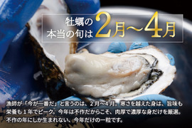 【春牡蠣】身入りMAX！江田島産 殻付き牡蠣 一番美味しい旬を堪能◆