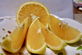 スイートスプリング小玉2kg食べ切りサイズ　格安！！