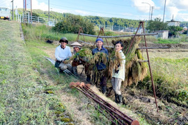 【2025年度産】［玄米］自然栽培ゆめみづほ5kg（富山県氷見産）