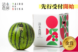 【数量限定】7月下旬発送予定　ハズレの無い甘さ！糖度13度越えも。野菜ソムリエサミット金賞受賞　「清水農園のプレミアム大玉スイカ」1玉