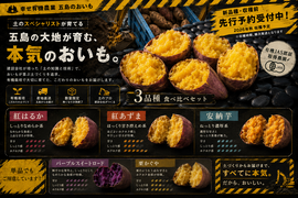 秋の味覚を贅沢に食べ比べ！お好きな組み合わせで！長崎県五島産有機さつまいも【紅はるか・紅あずま・安納芋・パープルスイートロード・栗かぐや】ご家庭用・5kg
