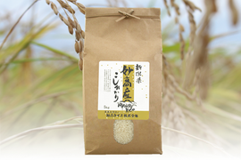 有機たっぷり！妙高産コシヒカリ特上特別米（5㎏）