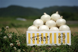 数量限定！【希少品種】　真っ白な白たまねぎ ５kg　特別栽培　ひょうご安心ブランド認証取得
