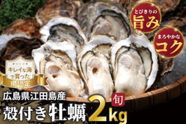 ◆◆広島・江田島直送◆復活の殻付き牡蠣
困難を乗り越えた「魂の江田島牡蠣　　牡蠣好き必見！ 旬の味を堪能できる牡蠣◆
