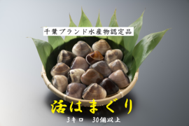 ワイワイみんなで酒蒸し＆BBQにどーぞ♪九十九里産　活けハマグリ３キロ(30～55個位)
