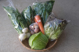 【農薬不使用】寒さで甘くなってきた！冬の高原野菜セット Sサイズ【6~7品目】