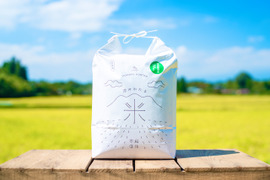 【新米予約】【白米】『特別栽培米 10kg』 高級！濃厚！ハイグレードなコシヒカリ お米 お弁当に最適です！【R5年産】