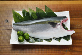 【一番売れ筋!】徳島県産ブランド「すだち鰤(ぶり)」ブリフィレー2枚(3.2kg)
