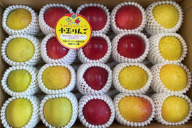 まるごとガブリっ！岩手江刺産【小玉：奥州ロマン入りMIX】2㎏