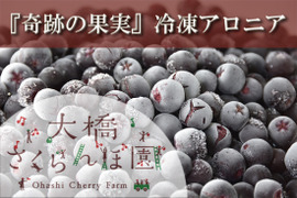 欧米では『奇跡の果実』として話題！冷凍アロニア・３ｋｇ 北海道・芦別産【大橋さくらんぼ園】