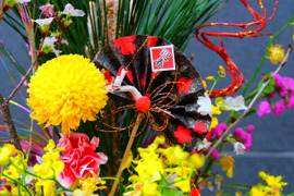 【お正月の花飾りに欠かせない】『松』花屋さんに並ぶ若松！小サイズ約60㎝×４本　
ＮＥＴ販売の為ご自宅までお届けで手間いらず！