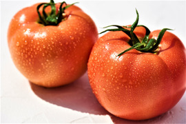 丸かじり！桃太郎トマト🍅
トマト本来の甘さ、酸味、やさしい歯ごたえ!!
バランスの取れた美味しいトマト！（2kg）