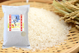 令和7年産【白米10kg】残留農薬ゼロ！ 石垣島産 美らひかり(5kg×2)