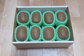 【冬ギフト】大阪産キウイ(ヘイワード)　 超ビッグサイズ 未追熟 1.5kg 1個180～200gのキウイを8個入り 贈答品に