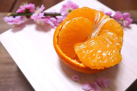 八朔の通販｜果物｜食べチョク｜産地直送(産直)お取り寄せ通販