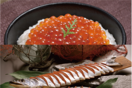 サイトウマサト水産の秋鮭セット【熨斗付き可】