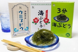 【業務用】水で戻る！塩水漬け海ぶどう（茎付き）
50g×40P