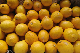 酸っぱいだけじゃない！甘味も感じる広島県大崎下島産 特別栽培レモン5キロ